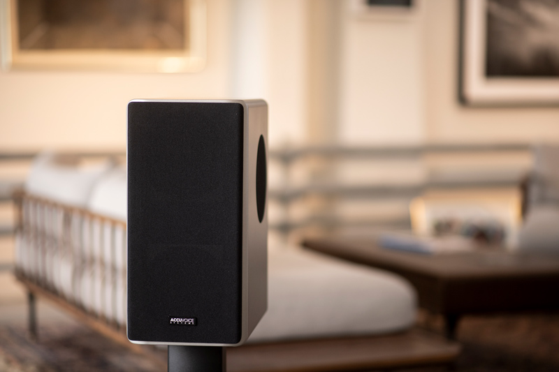 AccuVoice